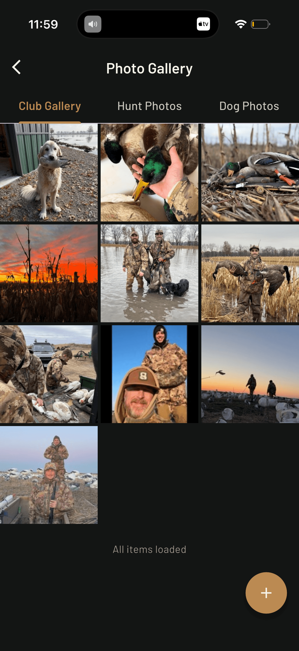 Photo Gallery screenshot