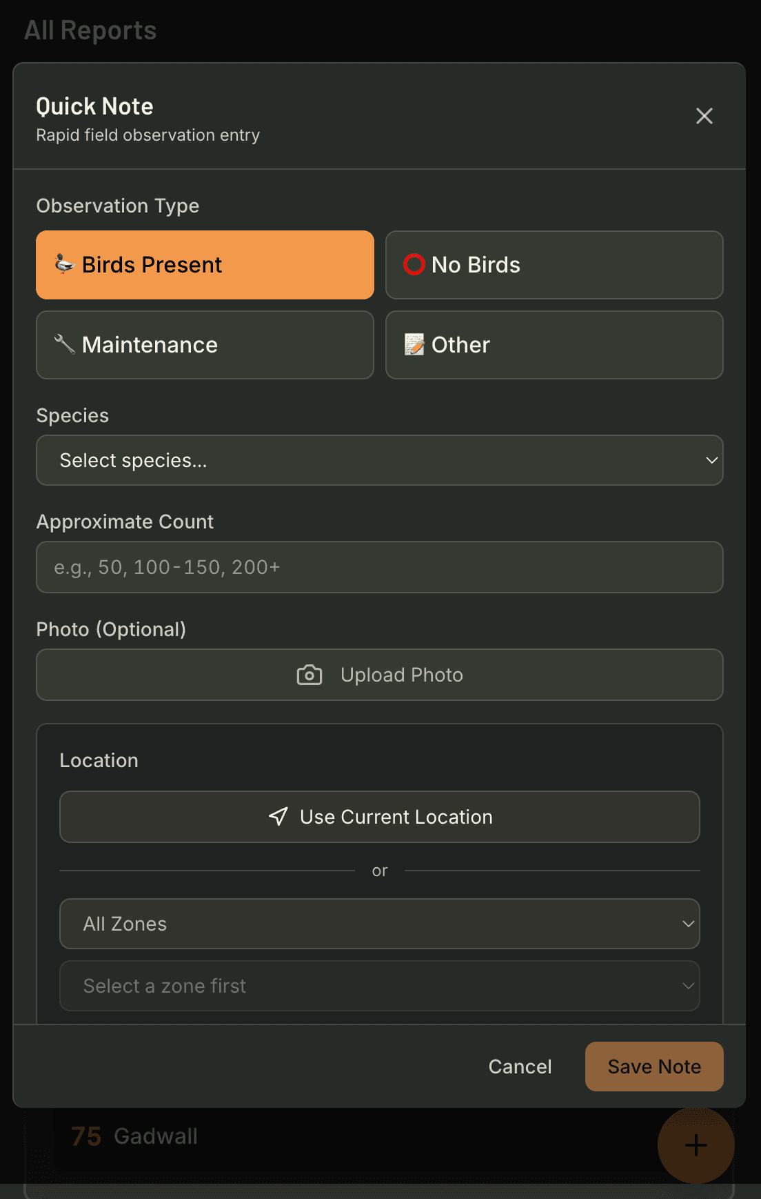 Scouting Reports screenshot